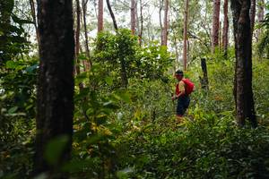 BIB: 
                            <button type="button" onclick="openModal(22790095)" class="btn btn-primary btn-sm float-right btn-popup" data-toggle="modal" data-target=".modal-high-quality">
                        <i class="fas fa-shopping-cart"></i> Add to Cart
                    </button>
                                            <button type="button" onclick="isThisMe(22790095, true)" class="btn btn-success btn-sm float-right btn-popup btn-isme hidden" data-toggle="tooltip" data-placement="bottom" title="นี่คือรูปของคุณใช่ไหม คลิกที่นี่เพื่อเอาเข้าอัลบั้ม">
                        <i class="fas fa-plus"></i> Add to album
                    </button>
                    <button type="button" onclick="isThisMe(22790095, false)" class="btn btn-warning btn-sm float-right btn-popup btn-isnotme hidden">
                        <i class="fas fa-ban"></i> Remove from album
                    </button>